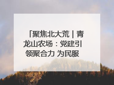 聚焦北大荒｜青龙山农场：党建引领聚合力 为民服务践初心
