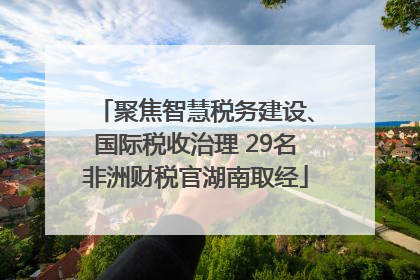 聚焦智慧税务建设、国际税收治理 29名非洲财税官湖南取经