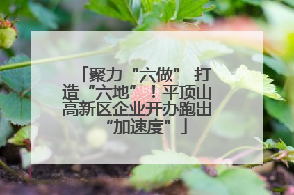 聚力“六做” 打造“六地”！平顶山高新区企业开办跑出“加速度”