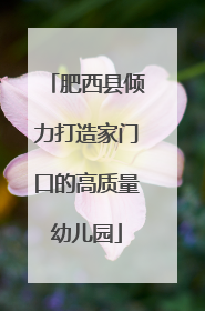 肥西县倾力打造家门口的高质量幼儿园