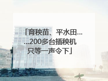 育秧苗、平水田……200多台插秧机只等一声令下