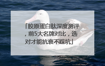 胶原蛋白肽深度测评，前5大名牌对比，选对才能抗衰不踩坑