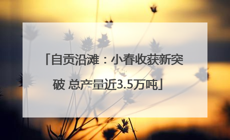 自贡沿滩：小春收获新突破 总产量近3.5万吨