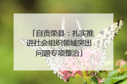 自贡荣县：扎实推进社会组织领域突出问题专项整治