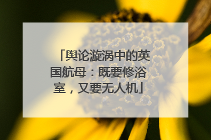 舆论漩涡中的英国航母：既要修浴室，又要无人机