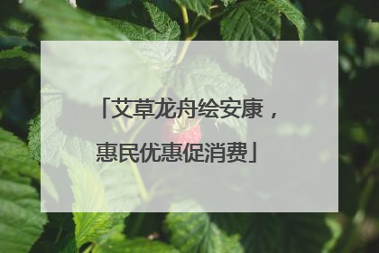 艾草龙舟绘安康，惠民优惠促消费