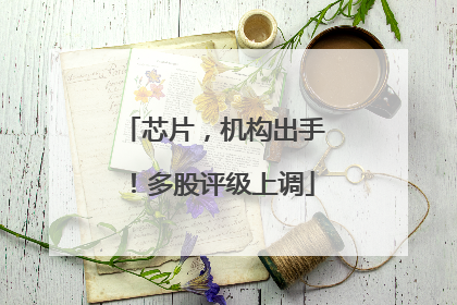 芯片，机构出手！多股评级上调