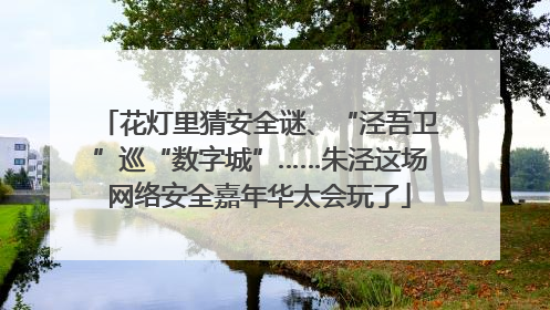 花灯里猜安全谜、“泾吾卫”巡“数字城”……朱泾这场网络安全嘉年华太会玩了