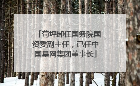 苟坪卸任国务院国资委副主任，已任中国星网集团董事长