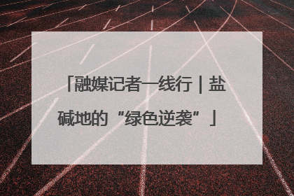 融媒记者一线行｜盐碱地的“绿色逆袭”