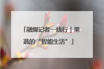 融媒记者一线行｜果蔬的“智能生活”