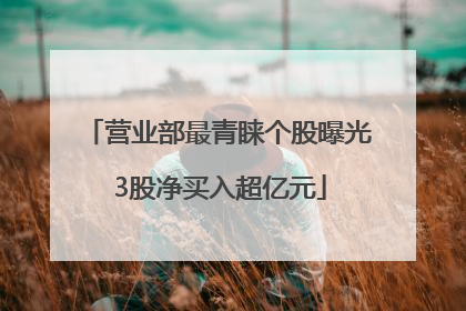 营业部最青睐个股曝光 3股净买入超亿元