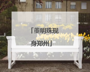 董明珠现身郑州