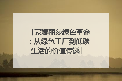 蒙娜丽莎绿色革命：从绿色工厂到低碳生活的价值传递