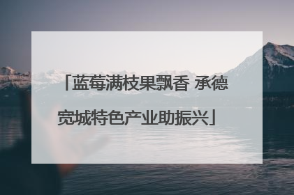 蓝莓满枝果飘香 承德宽城特色产业助振兴