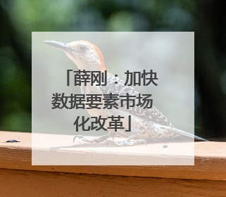 薛刚：加快数据要素市场化改革
