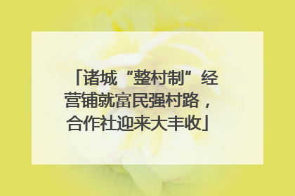 诸城“整村制”经营铺就富民强村路，合作社迎来大丰收