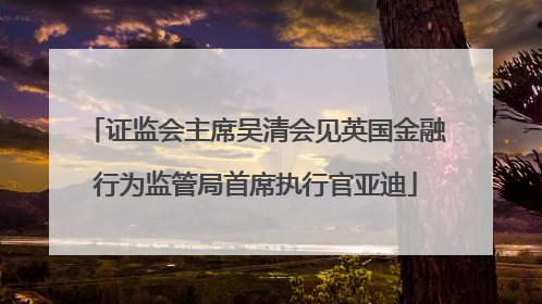 证监会主席吴清会见英国金融行为监管局首席执行官亚迪