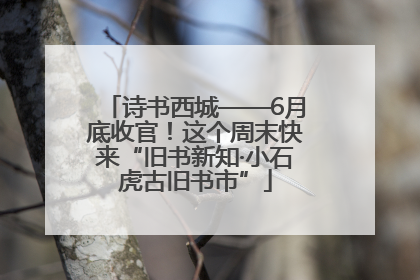 诗书西城——6月底收官！这个周末快来“旧书新知·小石虎古旧书市”
