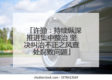 许勤：持续纵深推进集中整治 坚决纠治不正之风查处腐败问题