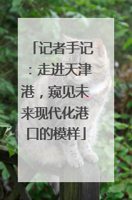 记者手记：走进天津港，窥见未来现代化港口的模样