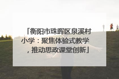 衡阳市珠晖区泉溪村小学：聚焦体验式教学，推动思政课堂创新