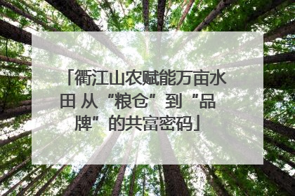 衢江山农赋能万亩水田 从“粮仓”到“品牌”的共富密码
