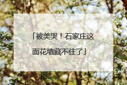 被美哭！石家庄这面花墙藏不住了