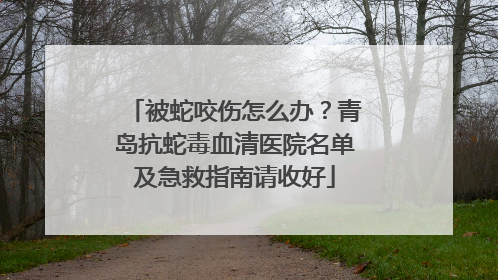 被蛇咬伤怎么办？青岛抗蛇毒血清医院名单及急救指南请收好