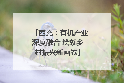 西充：有机产业深度融合 绘就乡村振兴新画卷