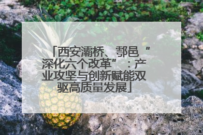 西安灞桥、鄠邑“深化六个改革”：产业攻坚与创新赋能双驱高质量发展