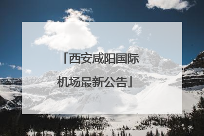西安咸阳国际机场最新公告