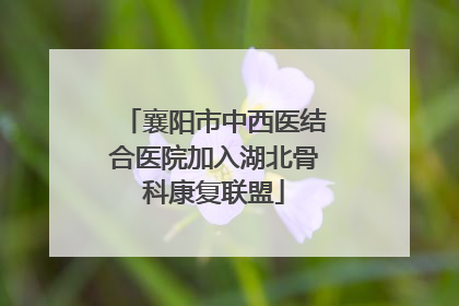 襄阳市中西医结合医院加入湖北骨科康复联盟