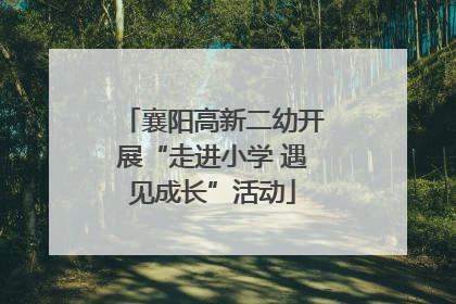 襄阳高新二幼开展“走进小学 遇见成长”活动