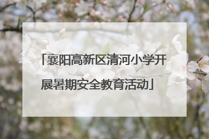 襄阳高新区清河小学开展暑期安全教育活动