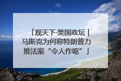 观天下·美国政坛｜马斯克为何称特朗普力推法案“令人作呕”