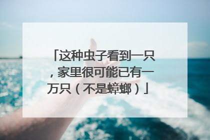 这种虫子看到一只，家里很可能已有一万只（不是蟑螂）