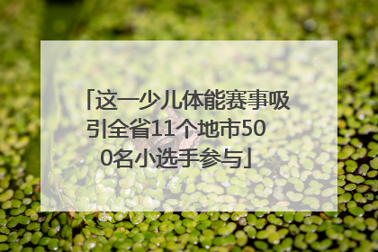 这一少儿体能赛事吸引全省11个地市500名小选手参与