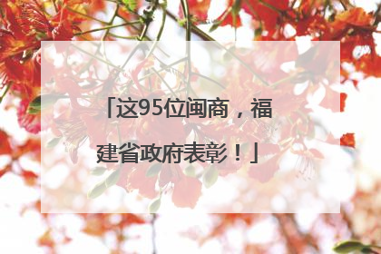 这95位闽商，福建省政府表彰！