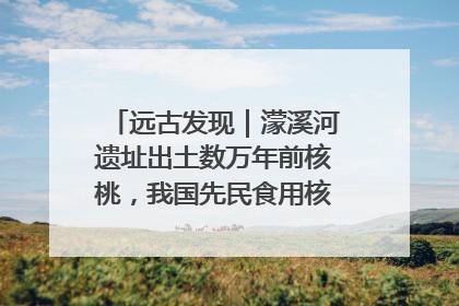 远古发现｜濛溪河遗址出土数万年前核桃，我国先民食用核桃历史大幅提前