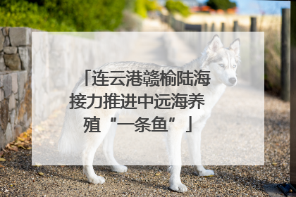 连云港赣榆陆海接力推进中远海养殖“一条鱼”