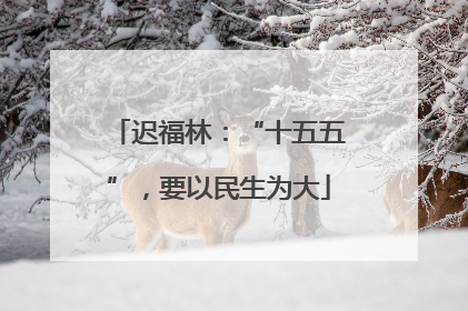 迟福林：“十五五”，要以民生为大