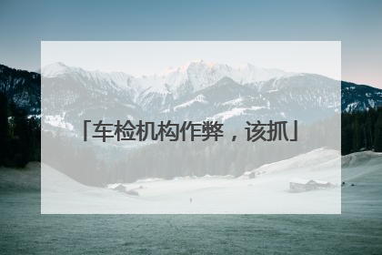 车检机构作弊，该抓