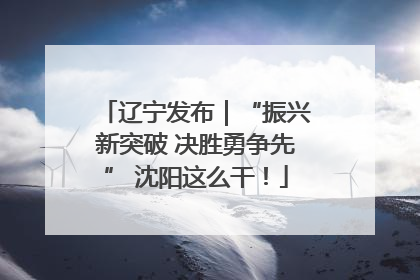 辽宁发布｜“振兴新突破 决胜勇争先” 沈阳这么干！