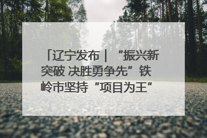 辽宁发布｜“振兴新突破 决胜勇争先”铁岭市坚持“项目为王”推进经济高质量发展