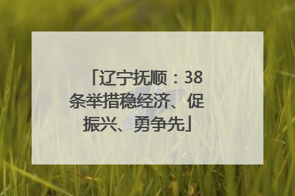 辽宁抚顺：38条举措稳经济、促振兴、勇争先