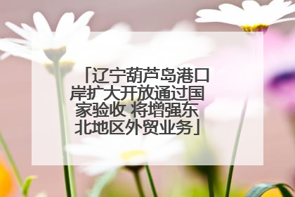 辽宁葫芦岛港口岸扩大开放通过国家验收 将增强东北地区外贸业务