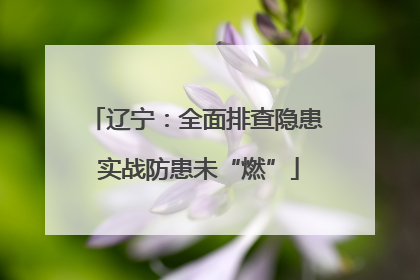 辽宁：全面排查隐患 实战防患未“燃”