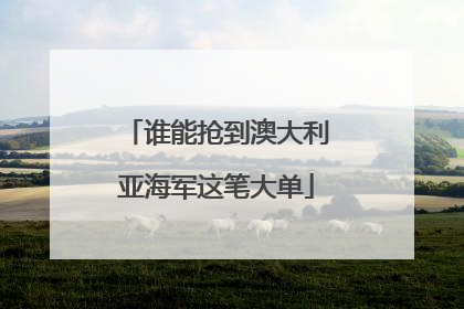 谁能抢到澳大利亚海军这笔大单