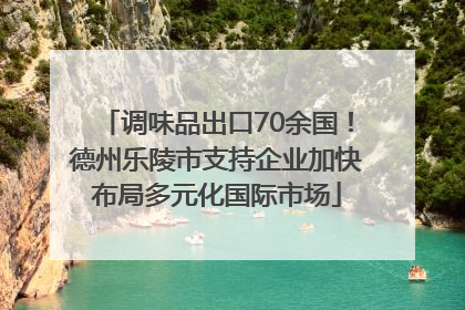 调味品出口70余国！德州乐陵市支持企业加快布局多元化国际市场